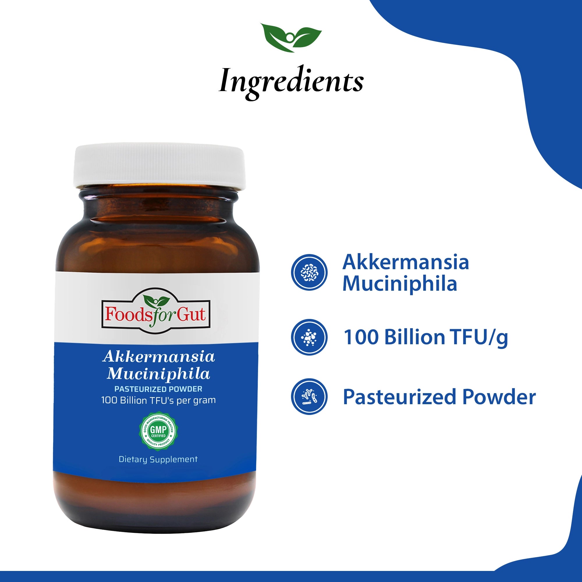 Akkermansia Muciniphila Pasteurized Powder