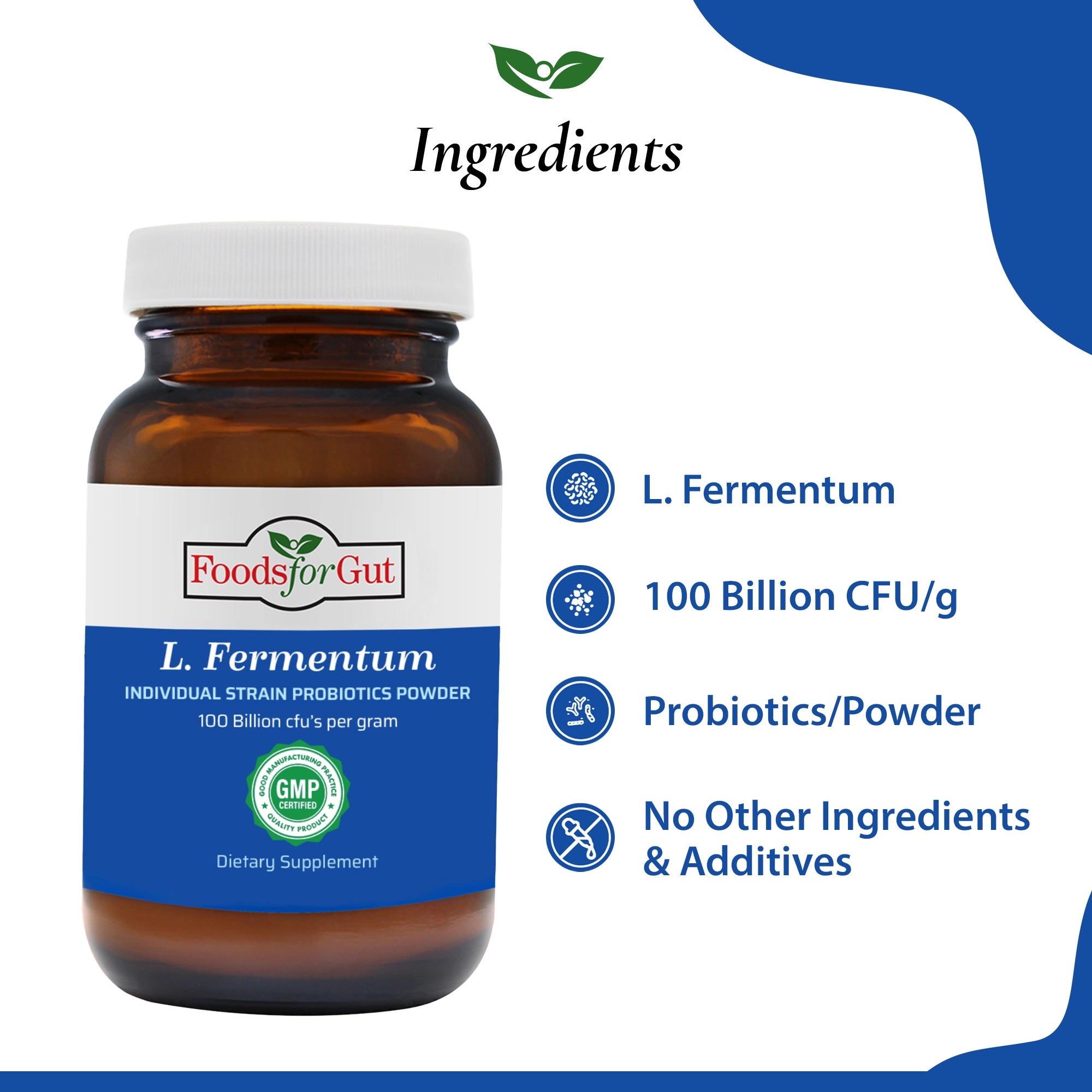 Lactobacillus Fermentum Probiotic Powder