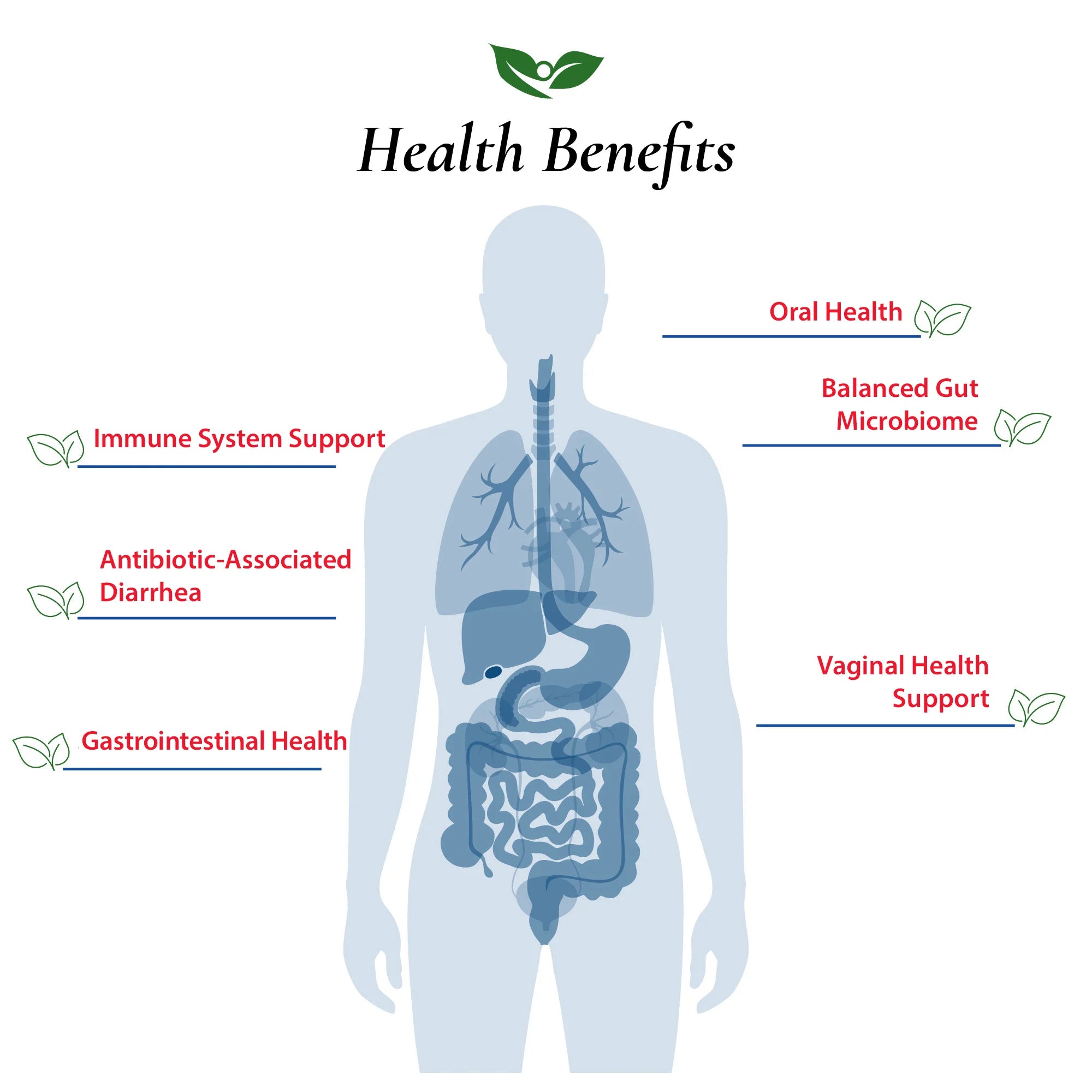Lactobacillus Rhamnosus GG Probiotic Powder