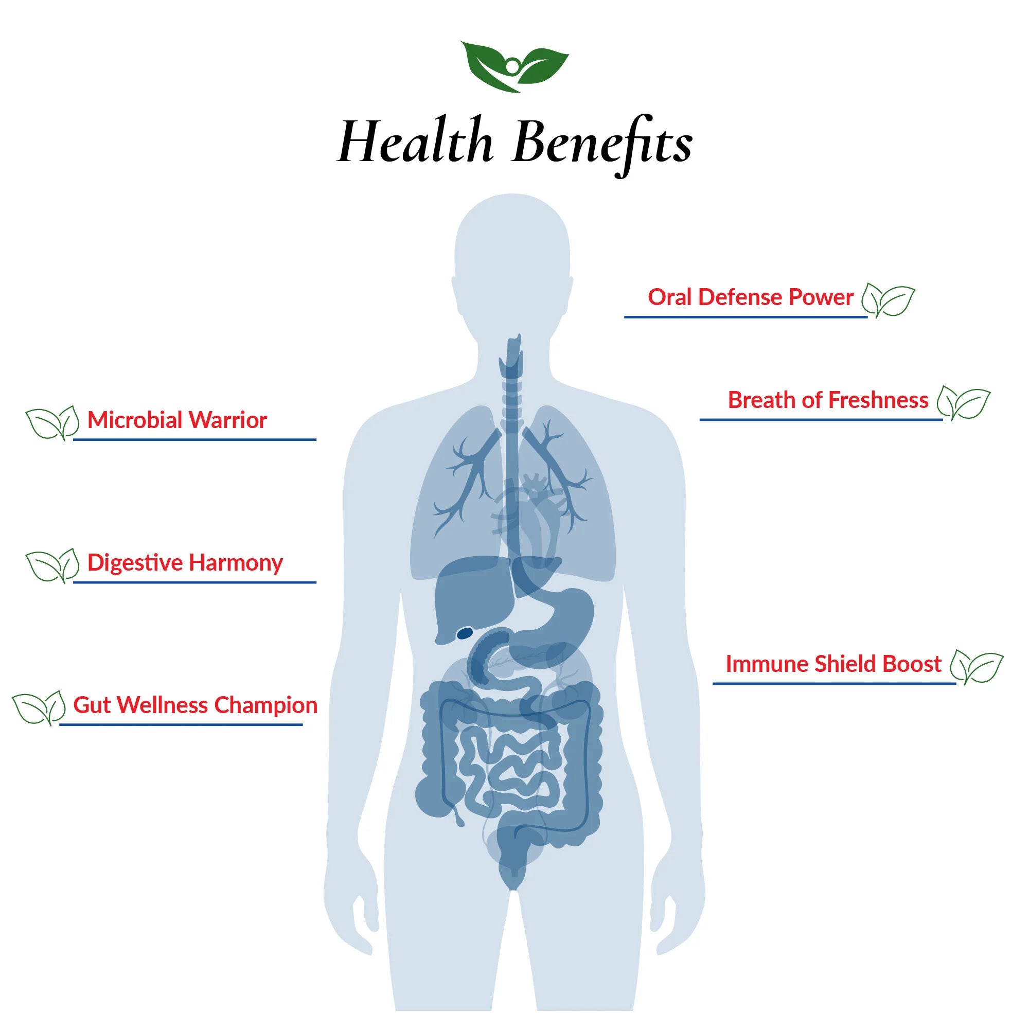 Health Benefits listed for Oral Health Formula - Oral Defense Power, Microbial Warrior, Gut Wellness Champion