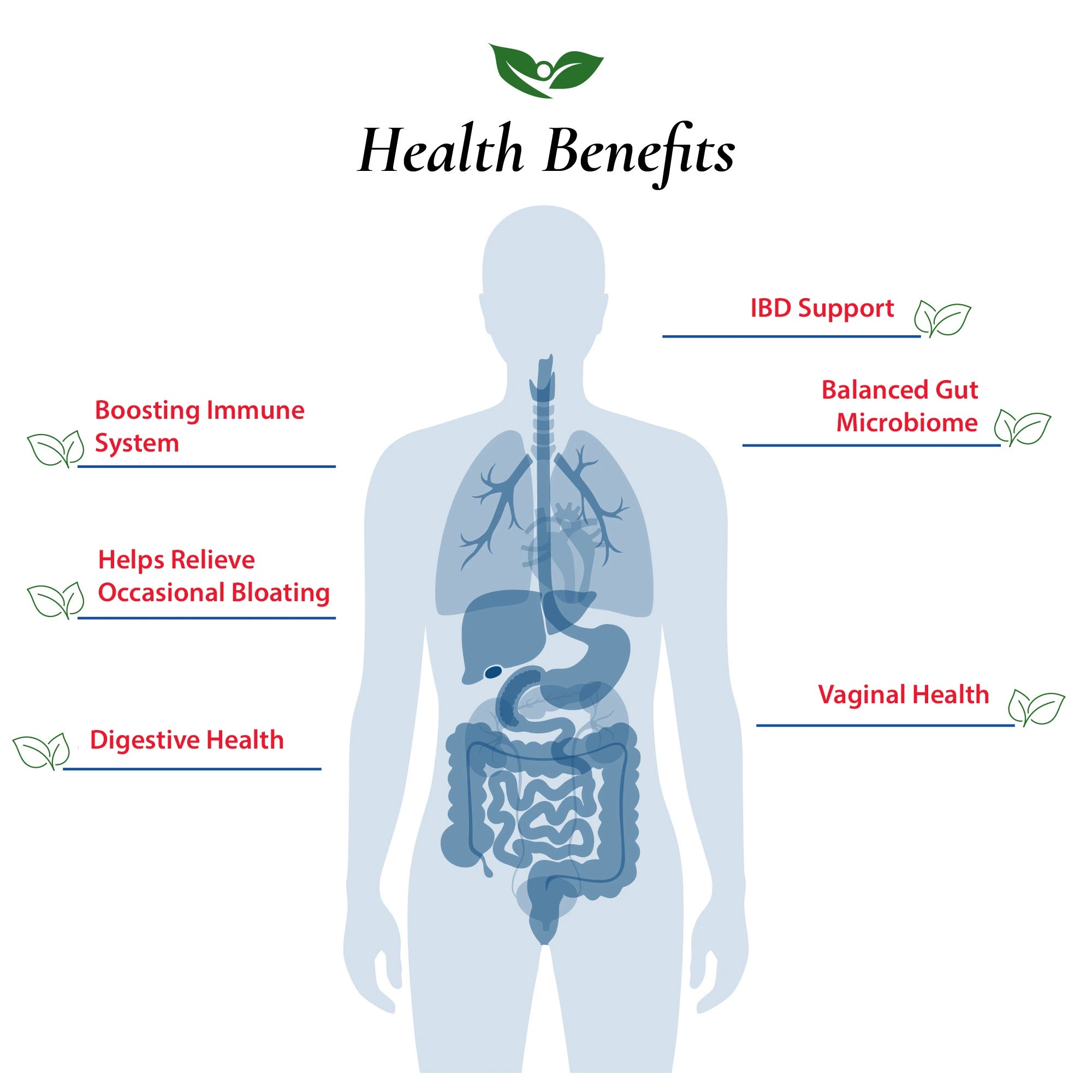 Bacillus Coagulans Probiotic Powder