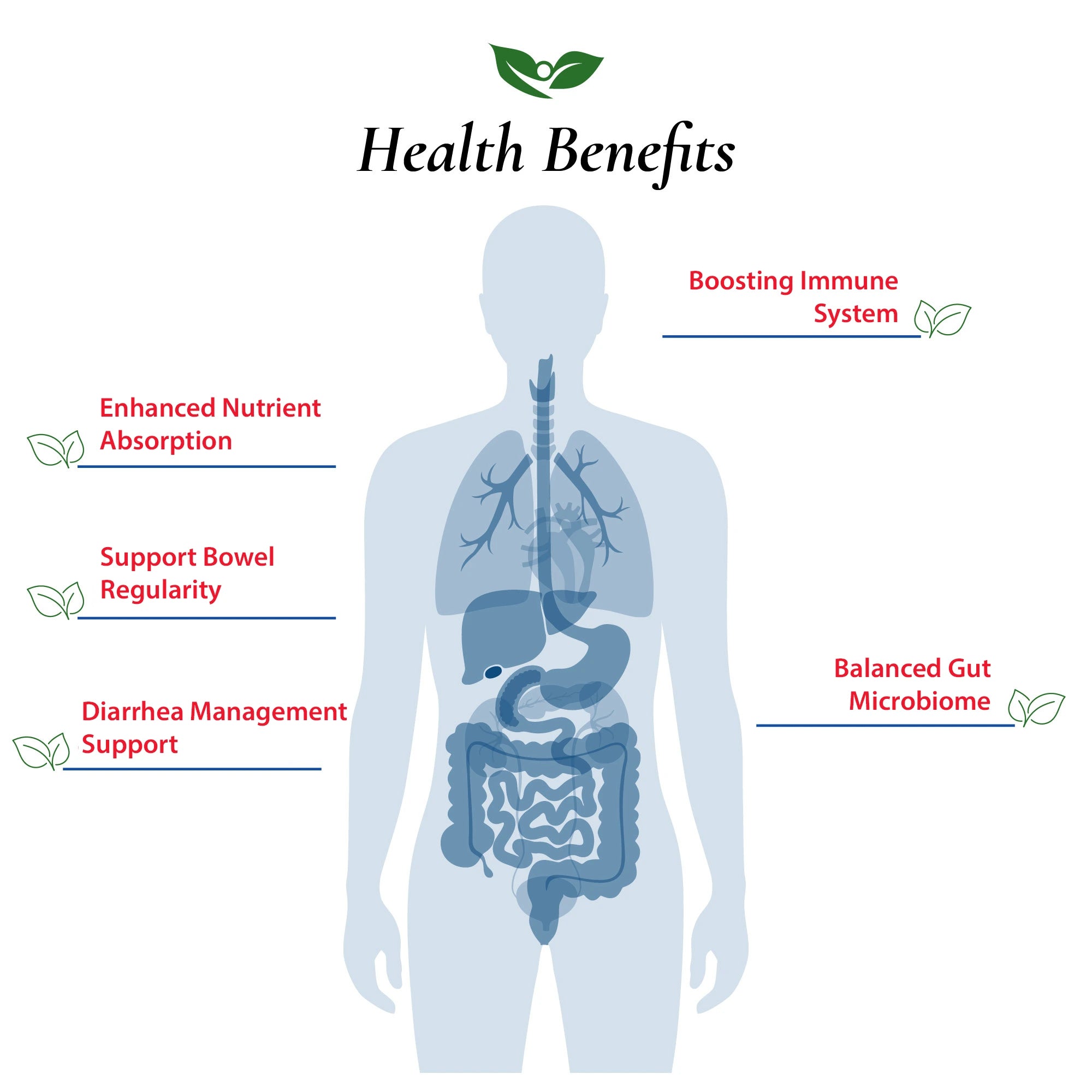 Bacillus Subtilis Probiotic Powder