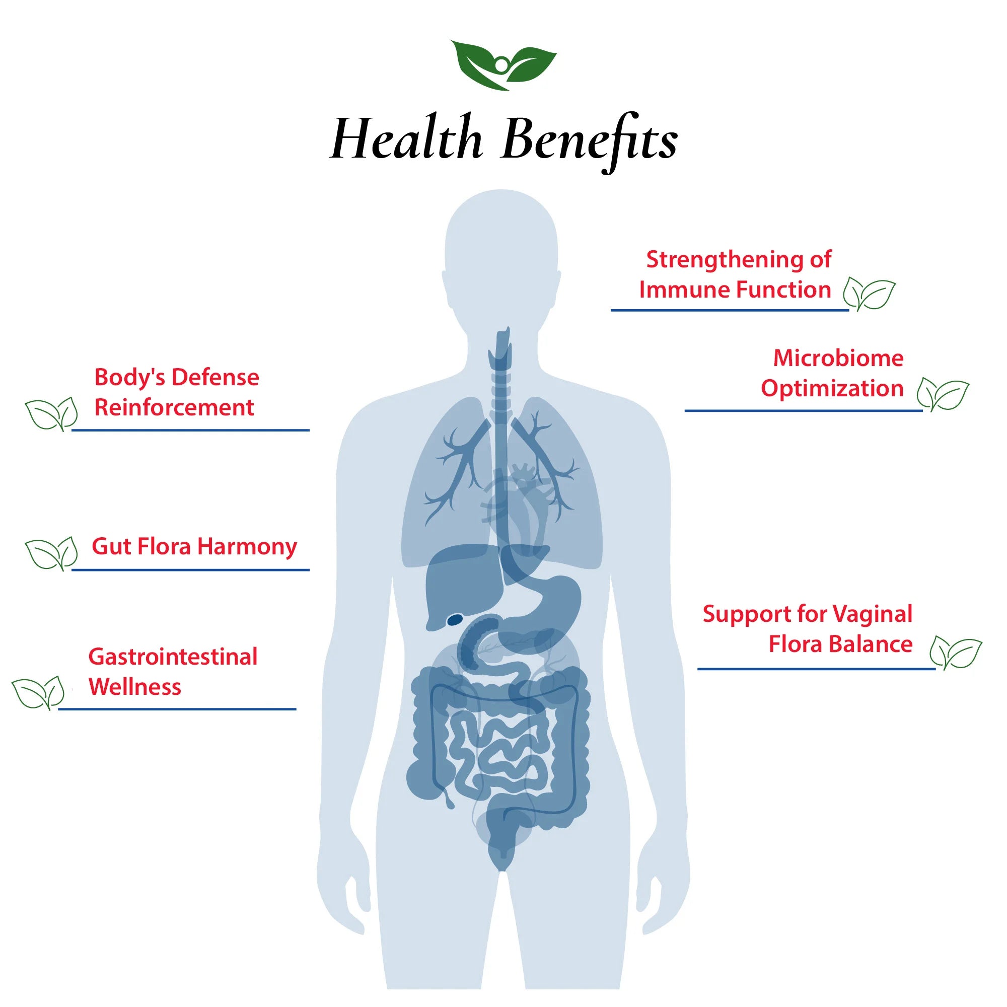 Lactobacillus Rhamnosus Probiotic Powder