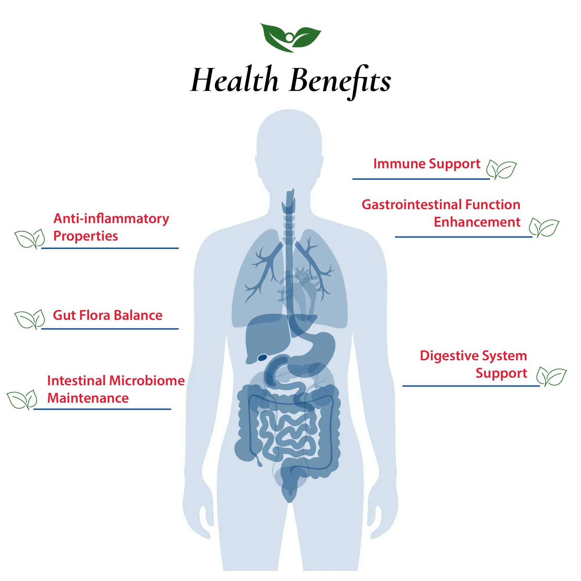Streptococcus Thermophilus Probiotic Powder