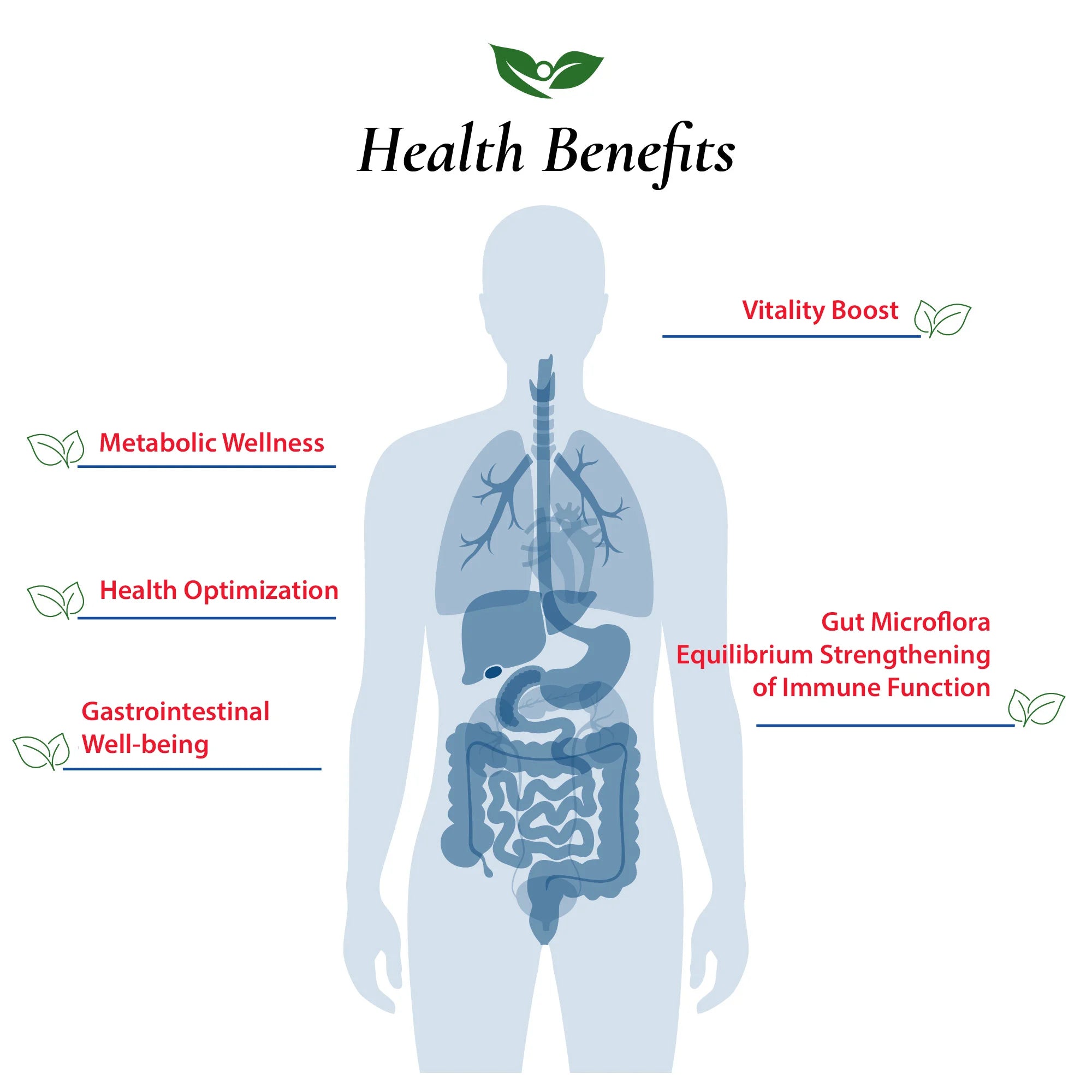 Lactobacillus Casei Probiotic Powder