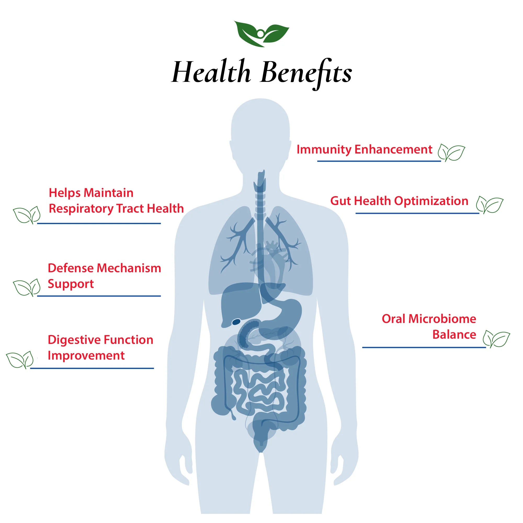 Lactobacillus Salivarius Probiotic Powder