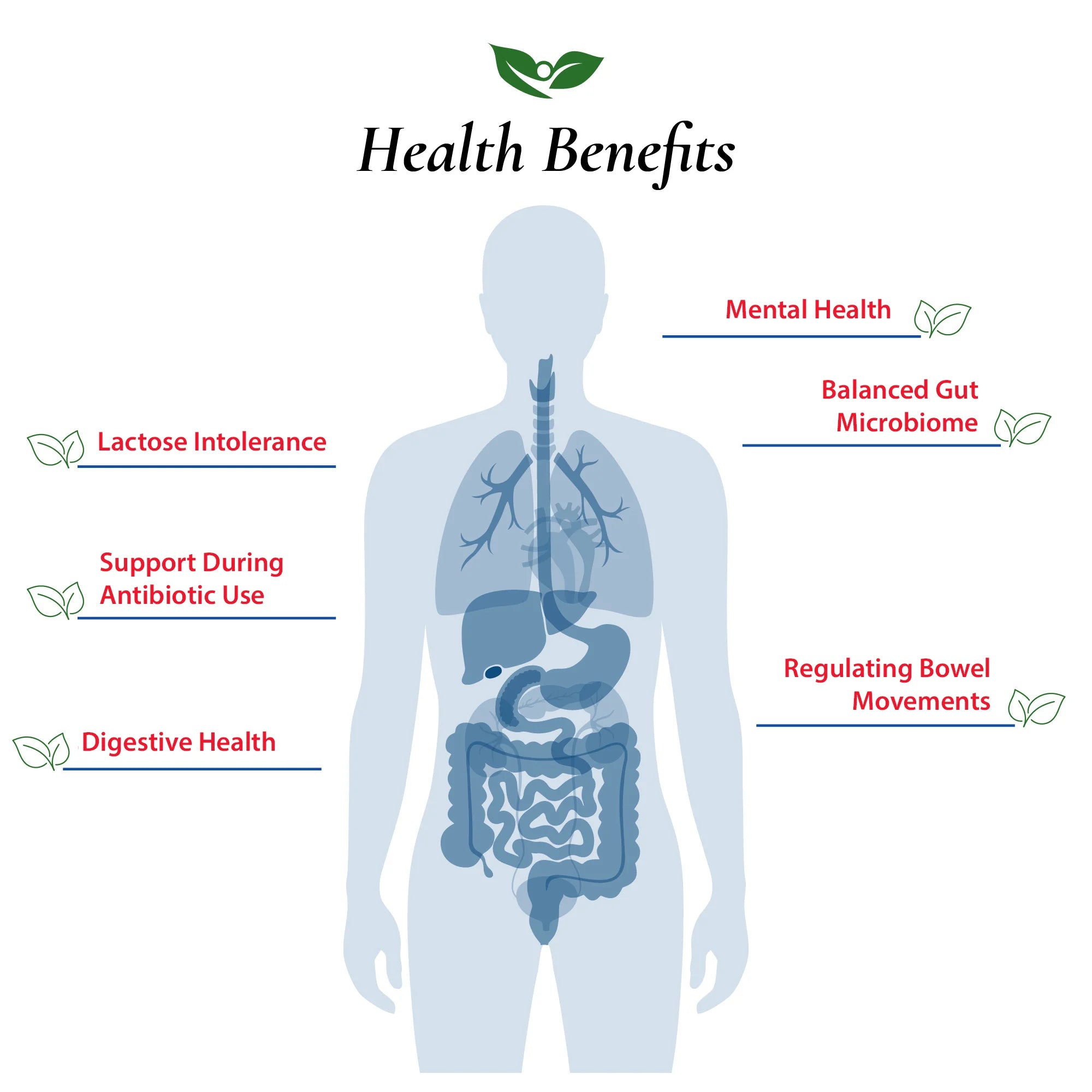 Lactobacillus Acidophilus Probiotic Powder