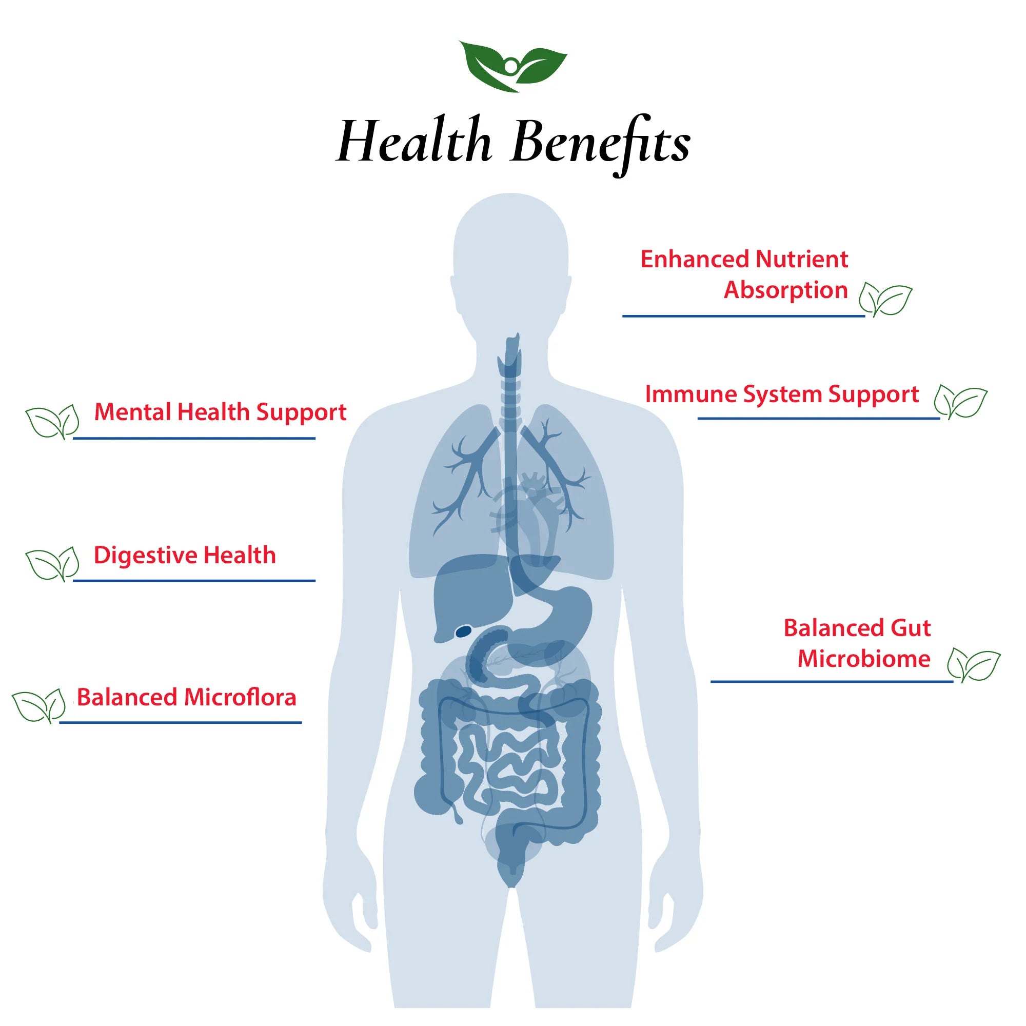 Lactobacillus Plantarum Probiotic Powder
