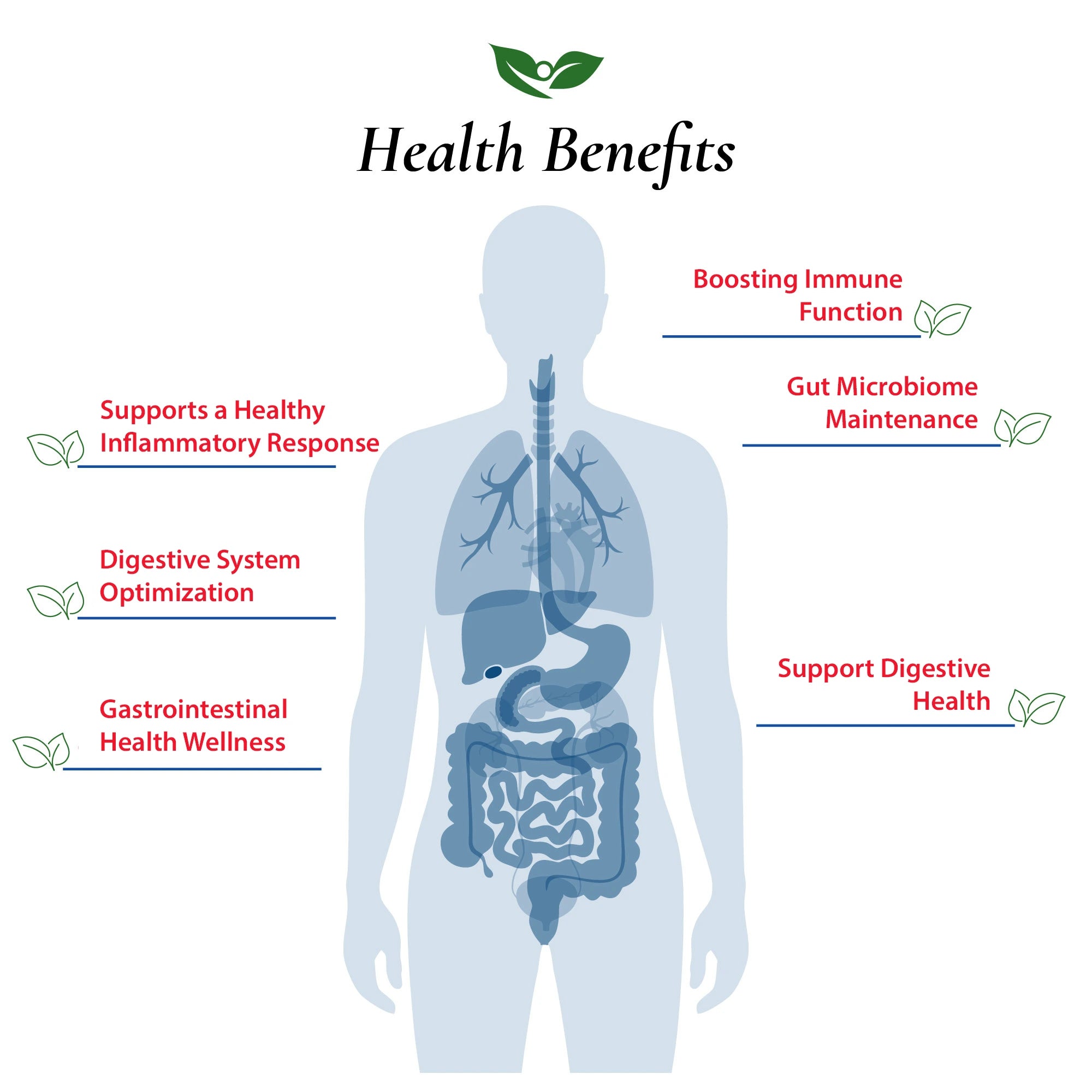Bifidobacterium Longum Probiotic Powder