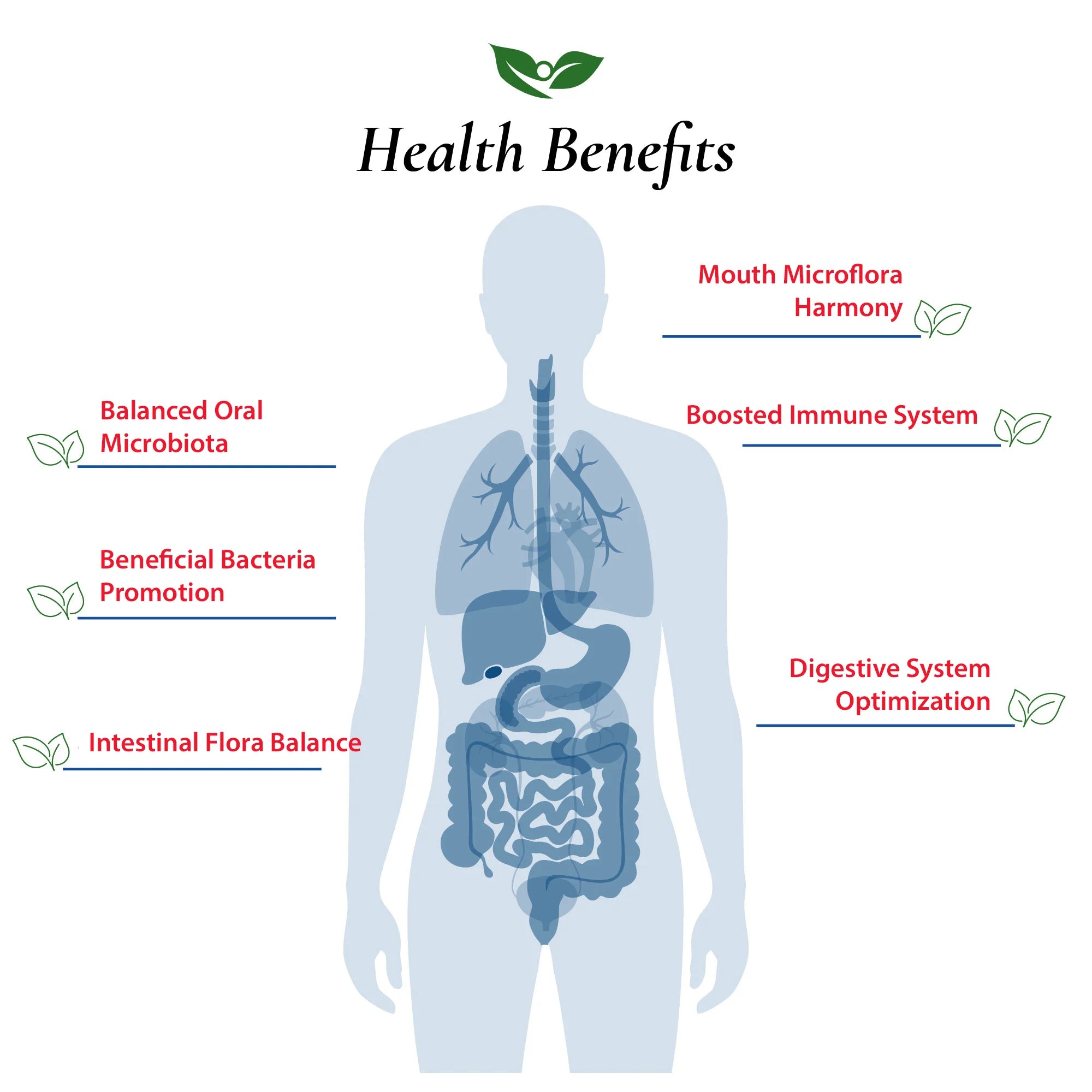 Lactobacillus Bulgaricus Probiotic Powder