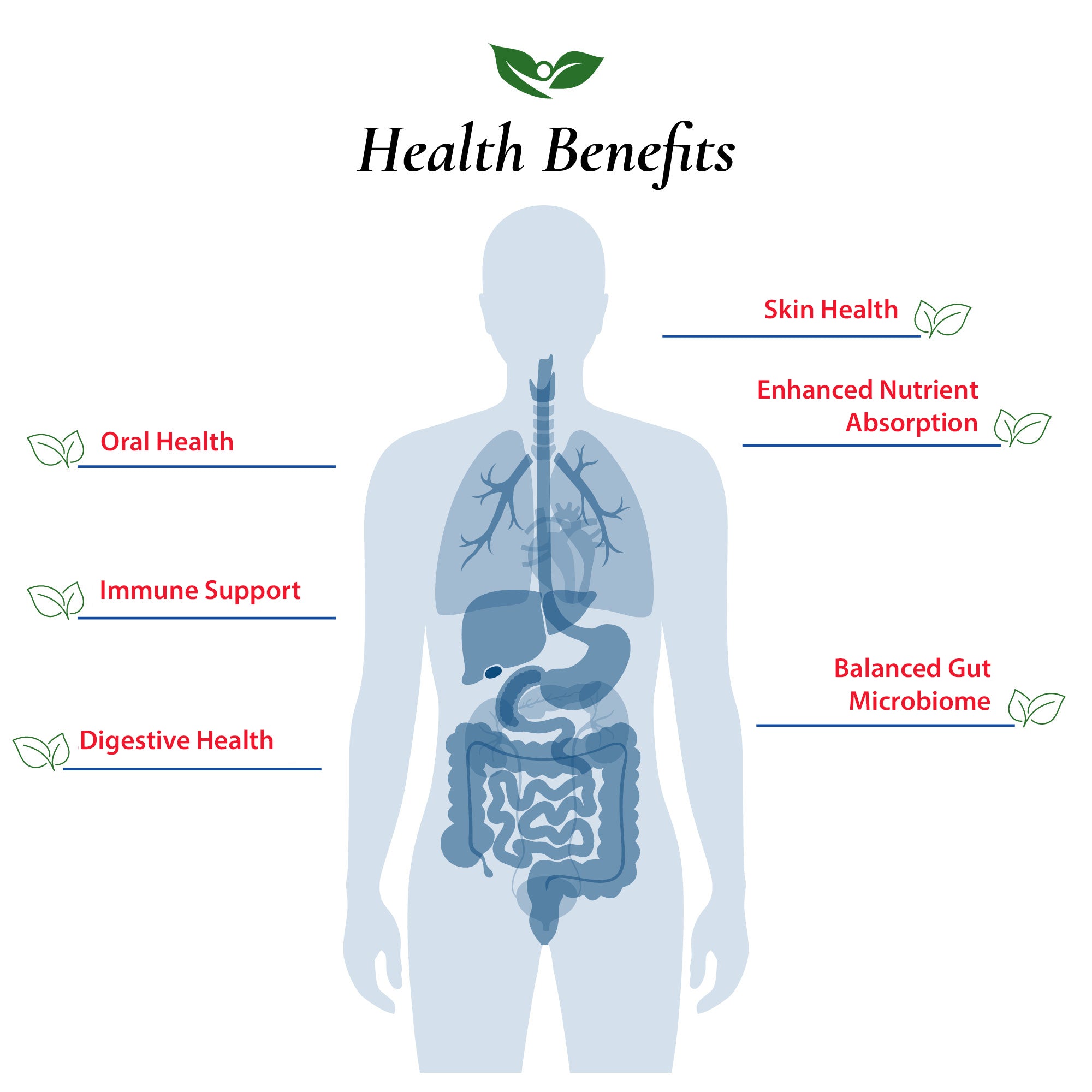 Lactobacillus Johnsonii Probiotic Powder