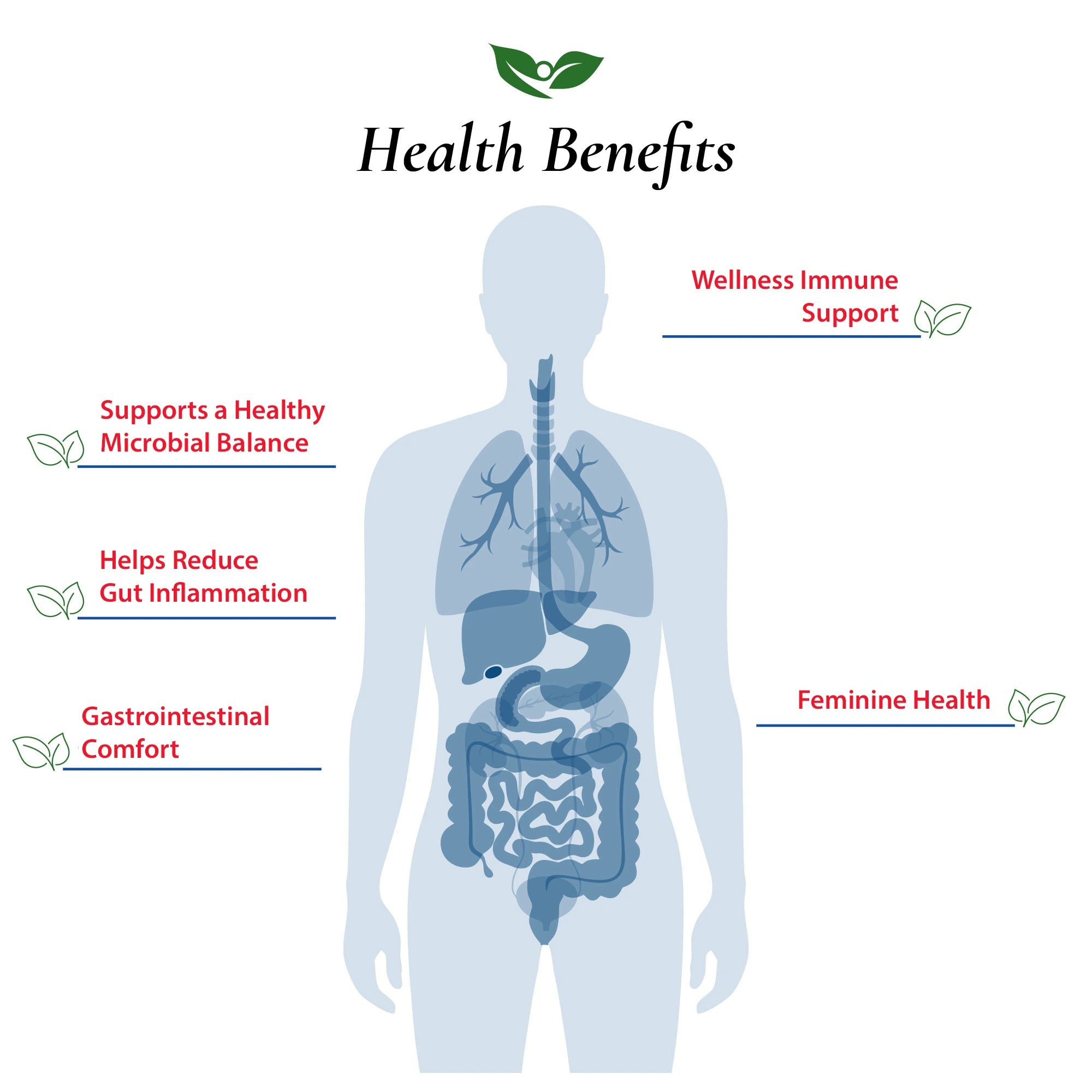 Bifidobacterium Breve Probiotic Powder