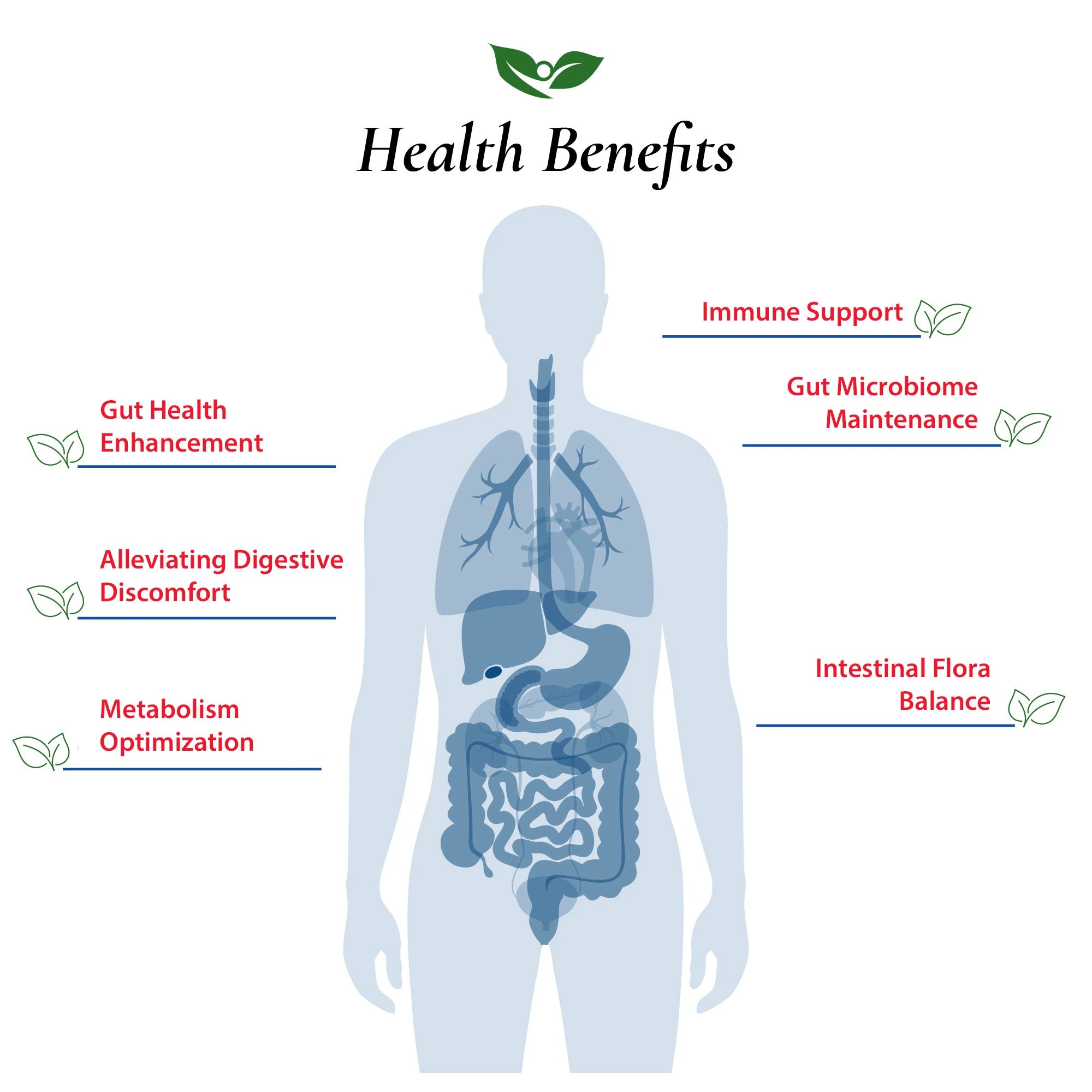 Bifidobacterium Lactis Probiotic Powder