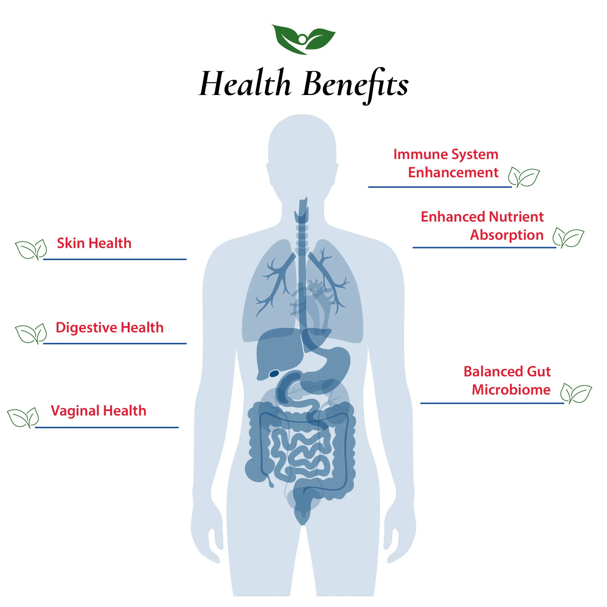 Lactobacillus Gasseri Probiotic Powder