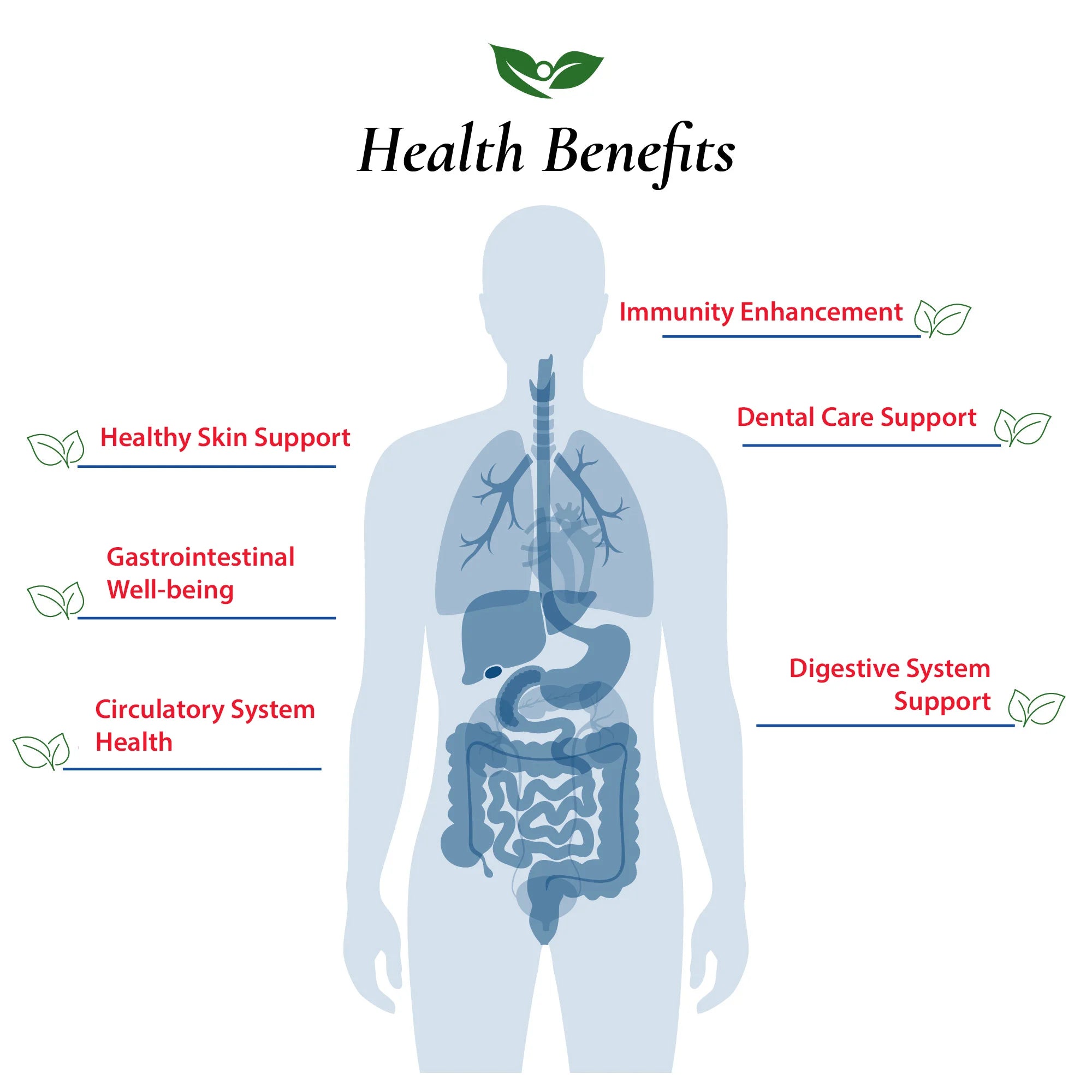 Lactobacillus Reuteri Probiotic Powder