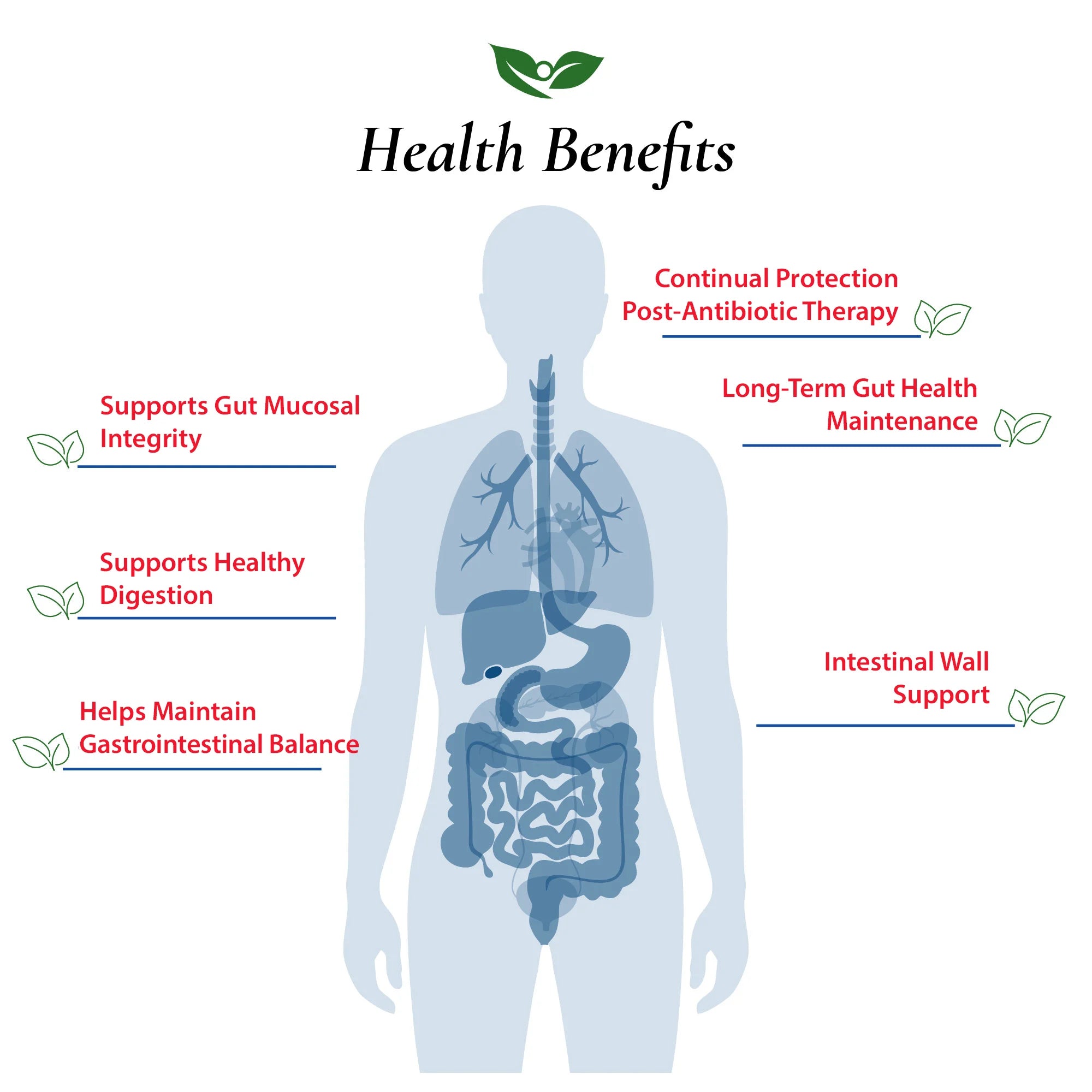 Saccharomyces Boulardii Probiotic Powder
