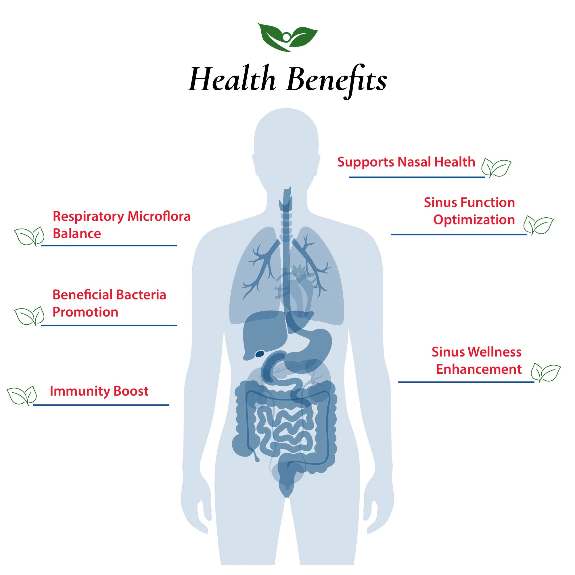 Lactobacillus Sakei Probiotic Powder