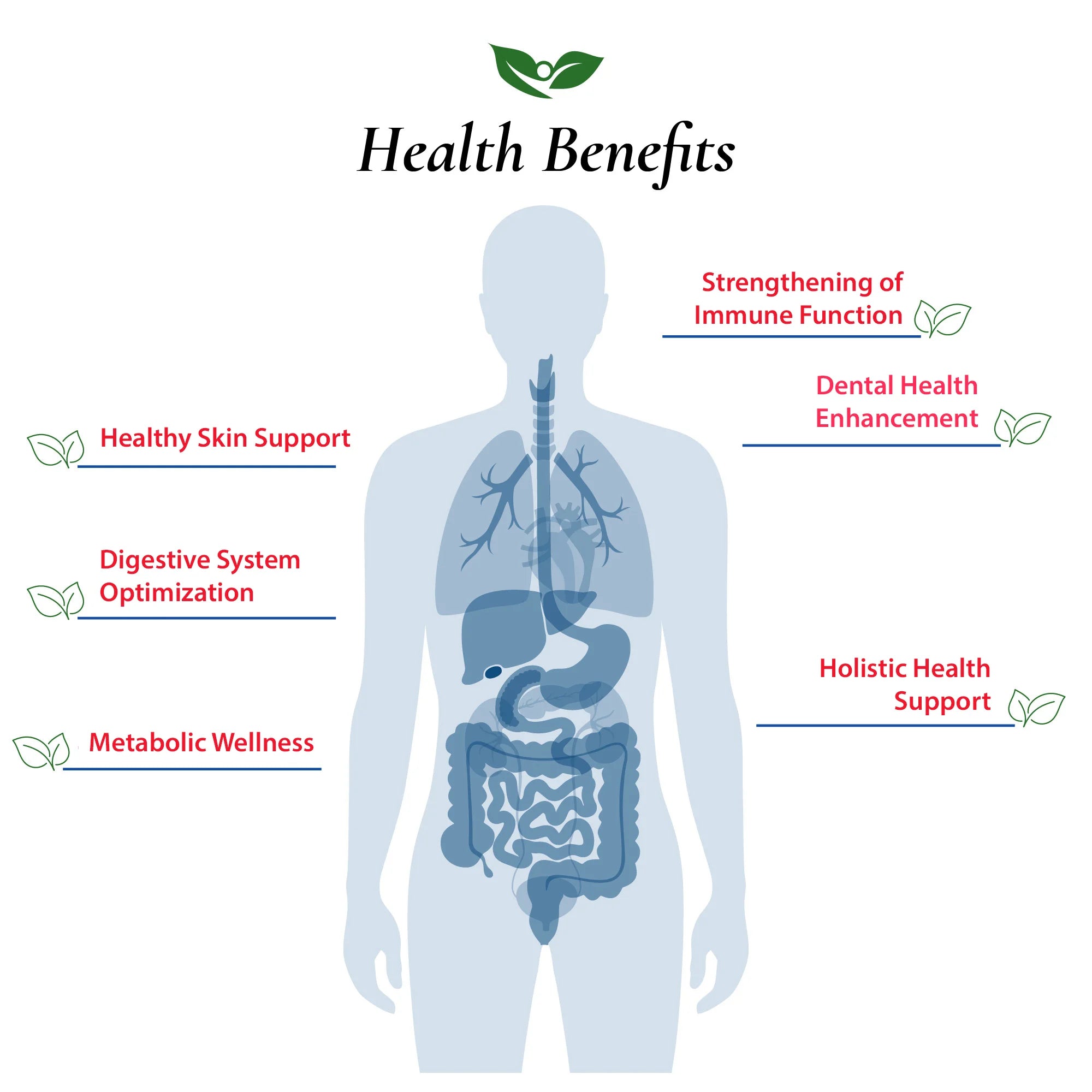 Lactobacillus Brevis Probiotic Powder