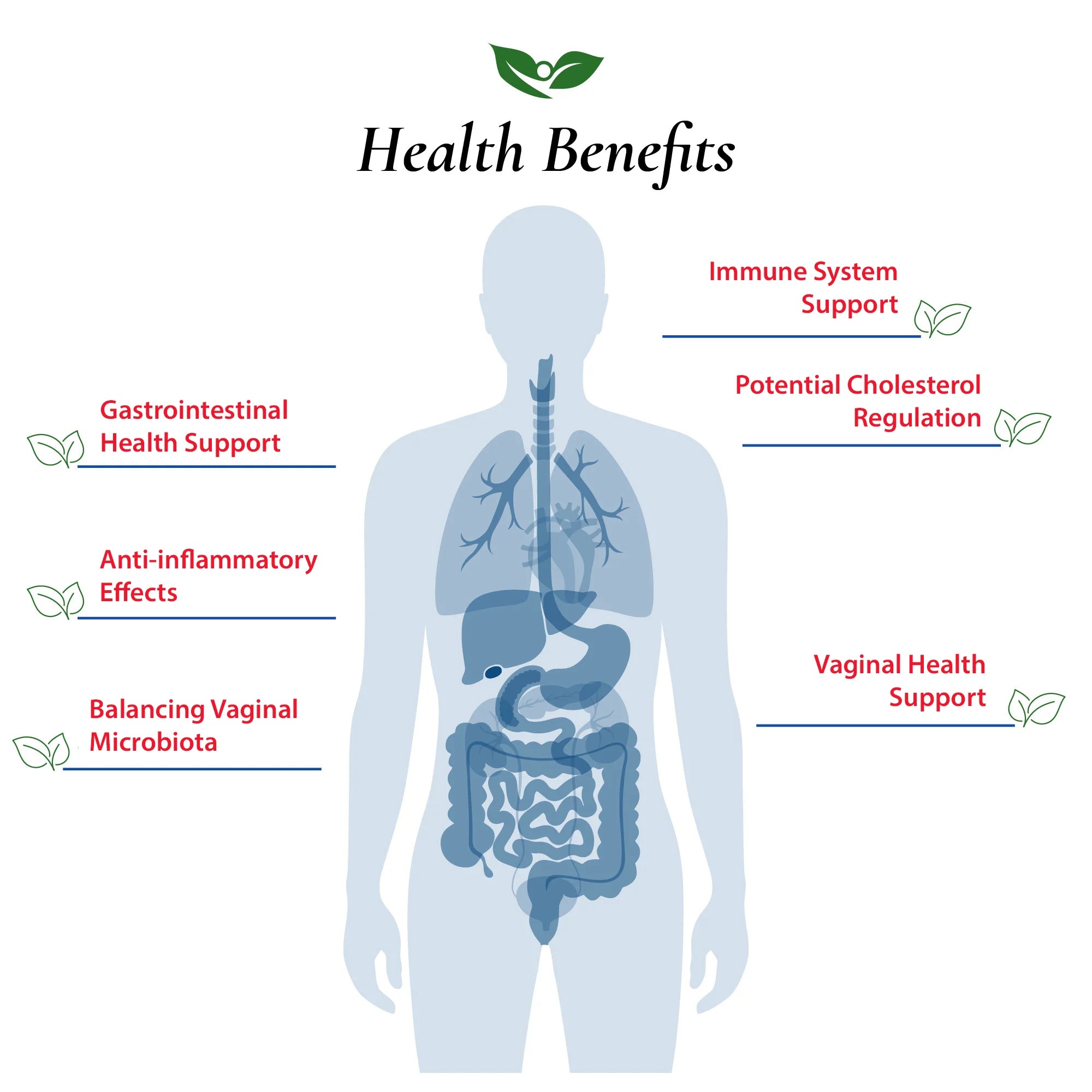 Lactobacillus Fermentum Probiotic Powder