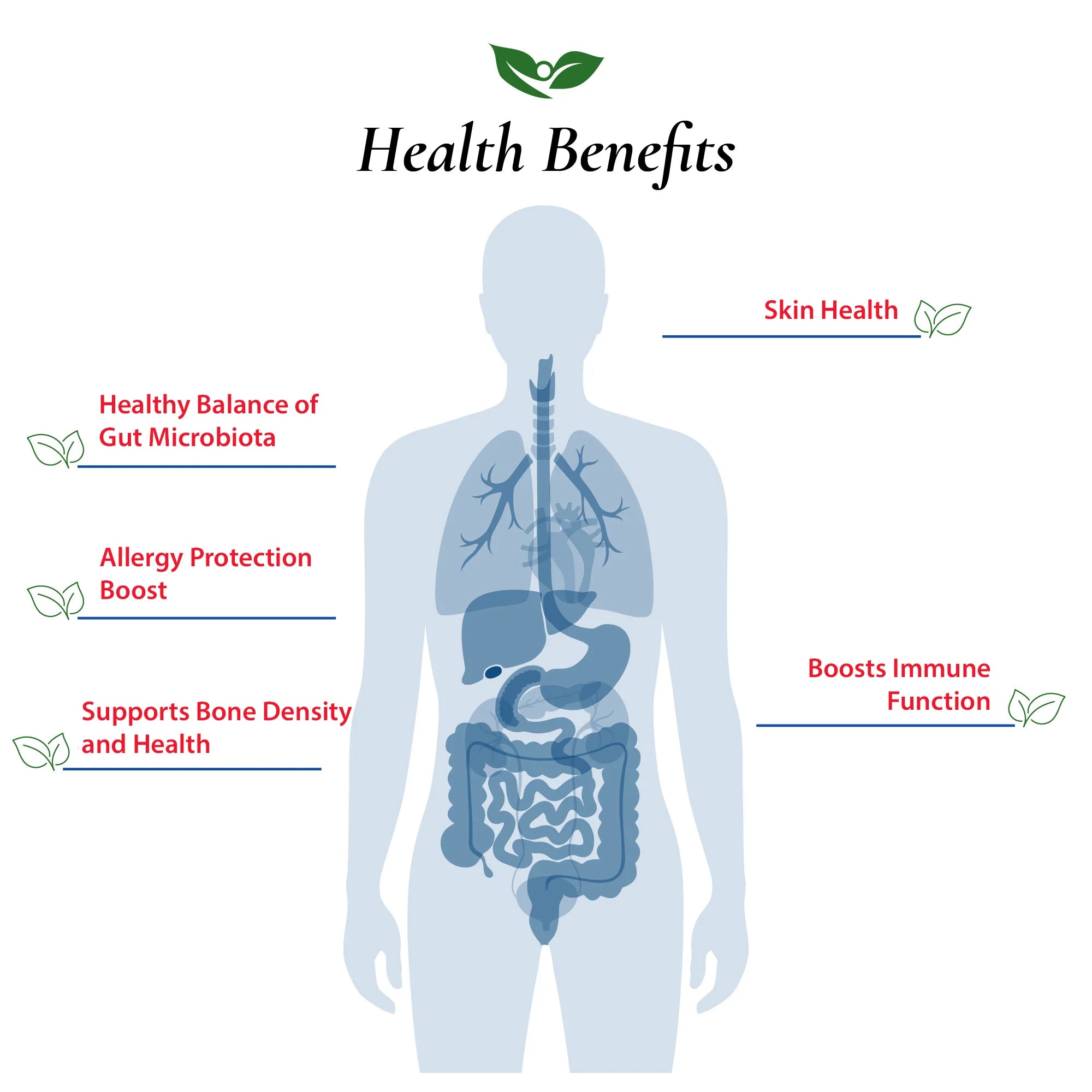 Lactobacillus Helveticus Probiotic Powder
