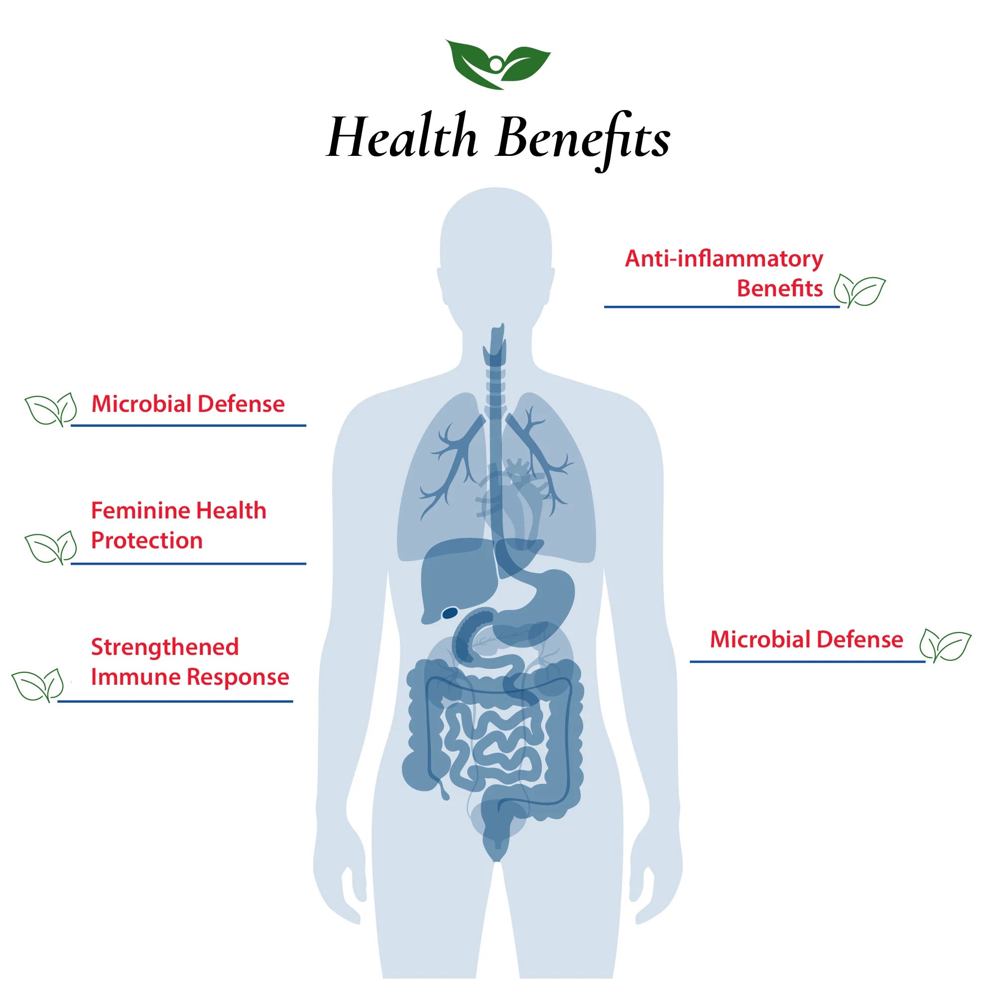 Health Benefits listed for B. Adolescentis - Microbial Defense, Strengthened Immune Response
