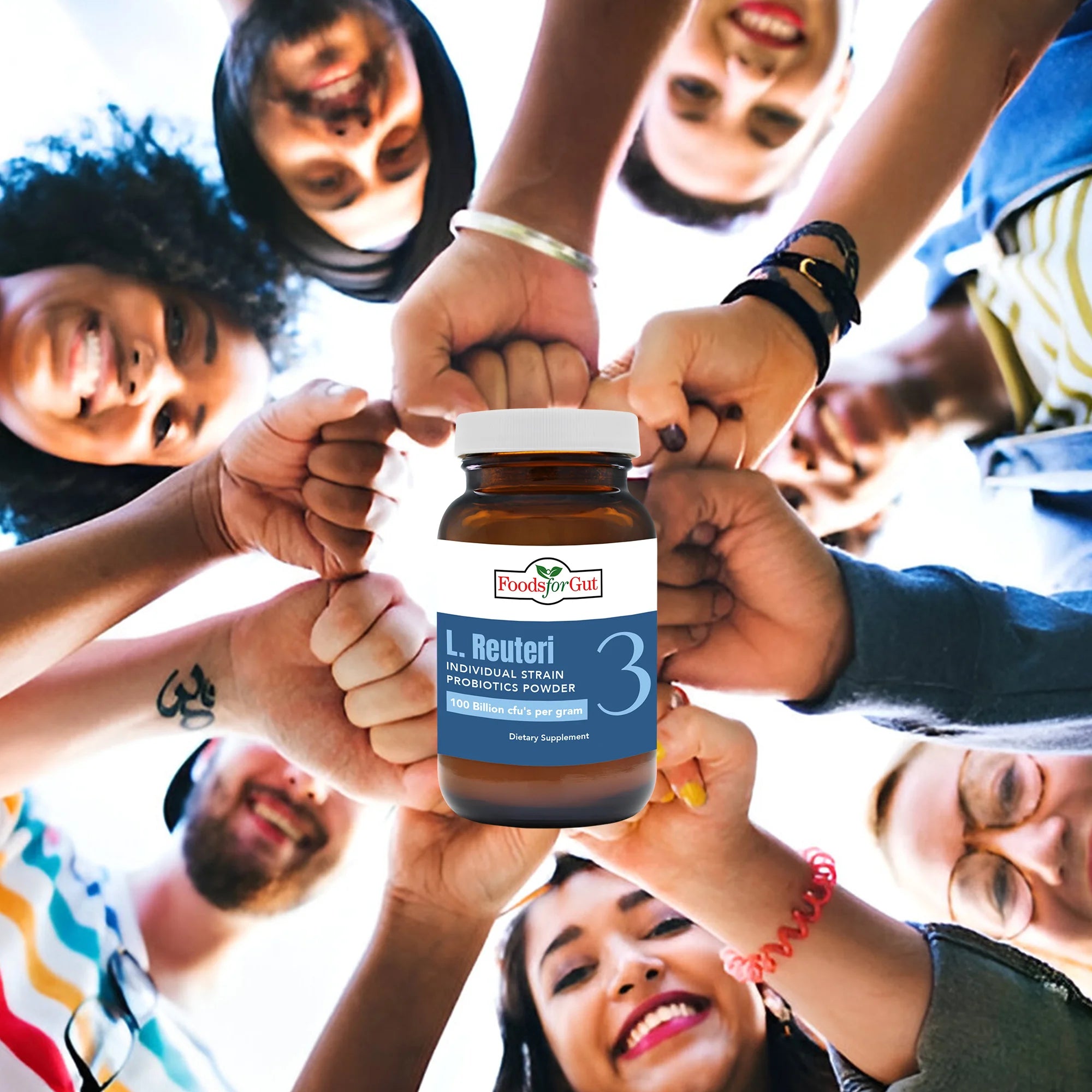 Lactobacillus Reuteri Probiotic Powder