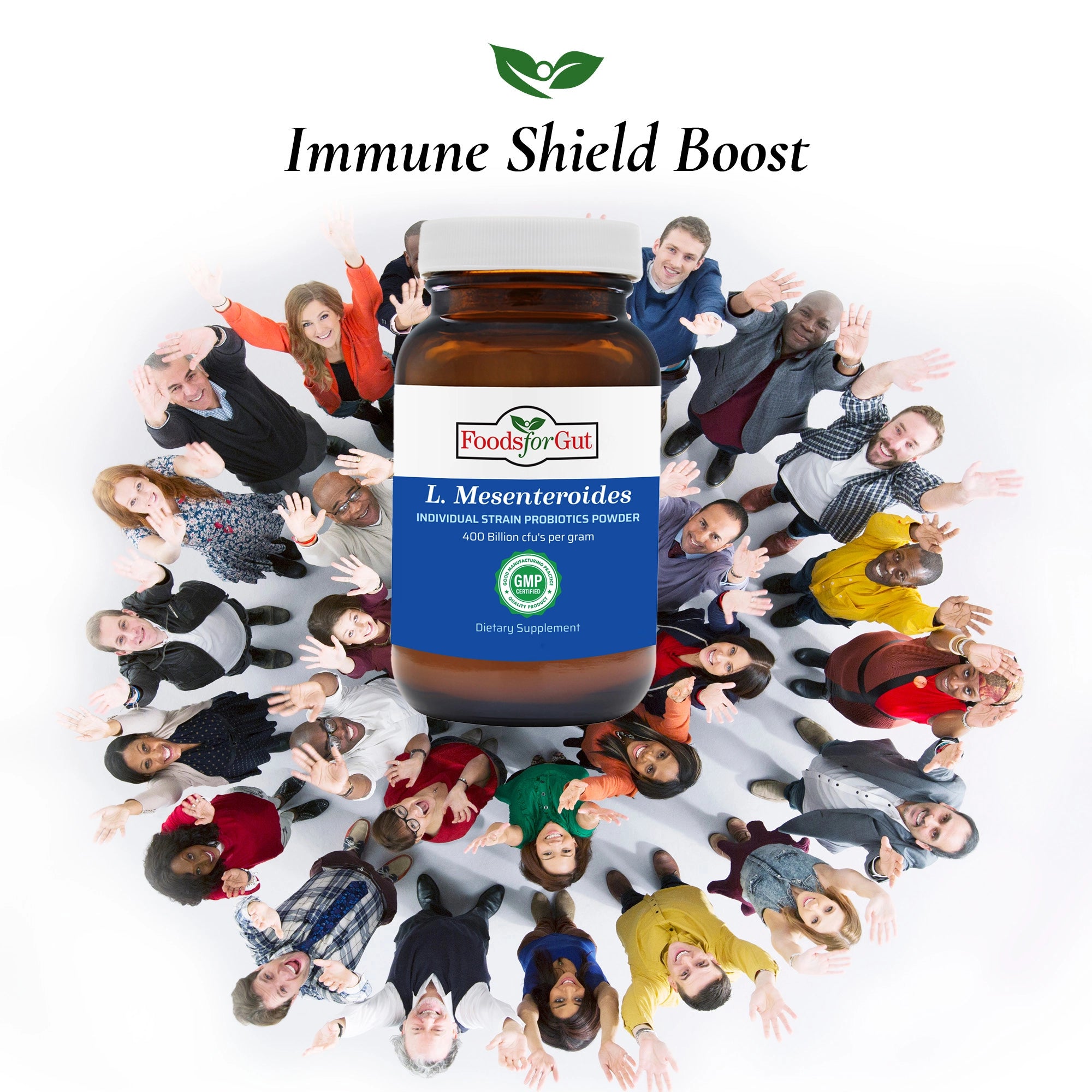 Leuconostoc Mesenteroides Probiotic Powder