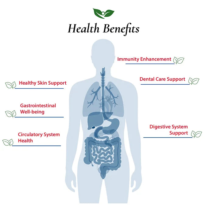 Health Benefits listed for L. Reuteri Powder 1E1 - Gastrointestinal Well-being, Digestive System Support, Dental Care Support