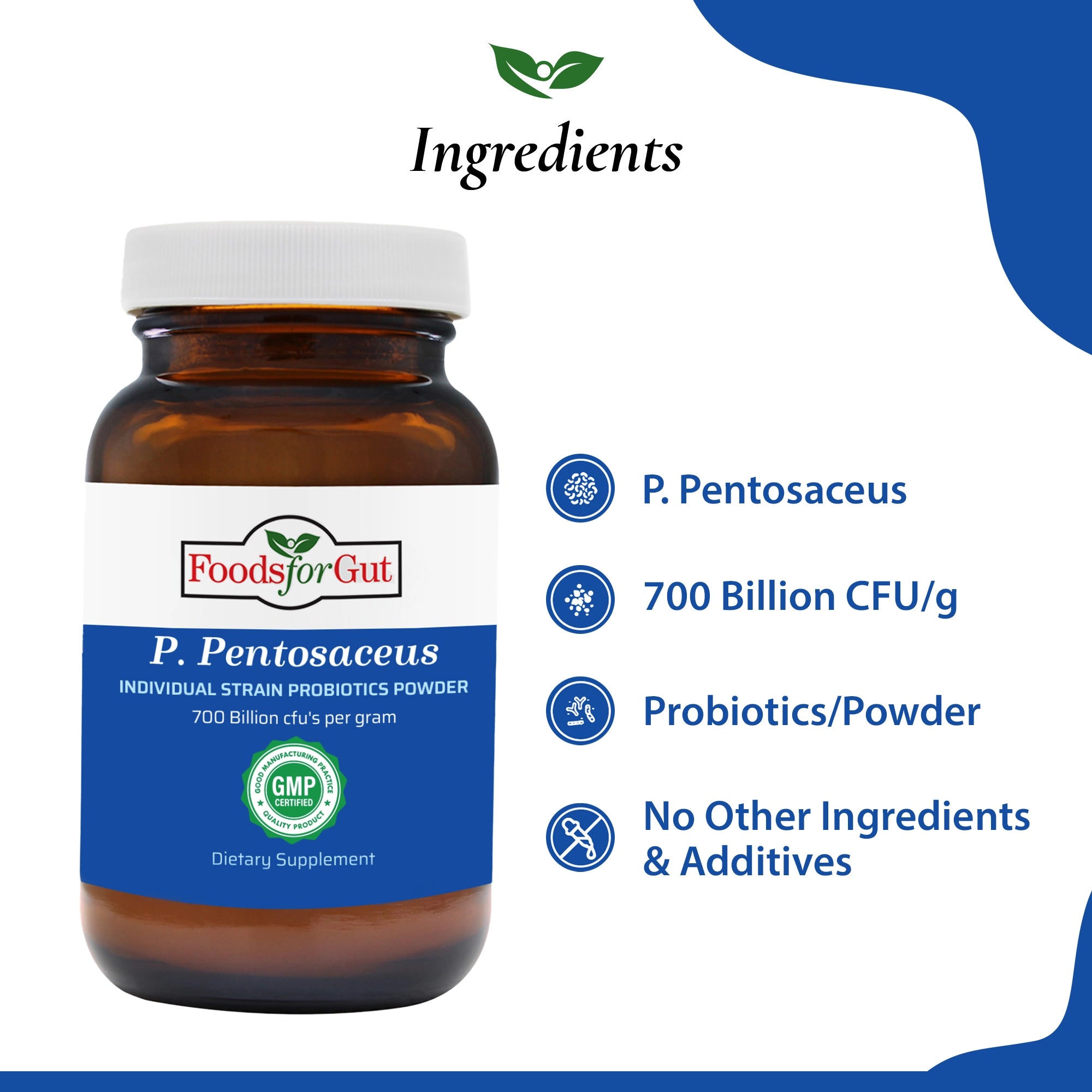 Pediococcus Pentosaceus Probiotic Powder