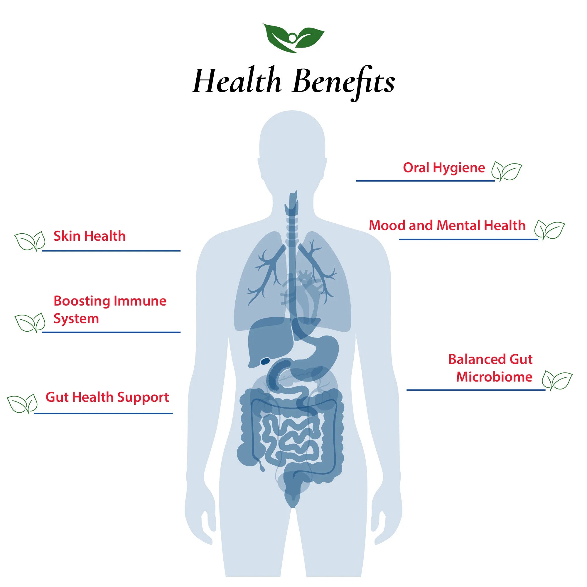 Lactobacillus Paracasei Probiotic Powder