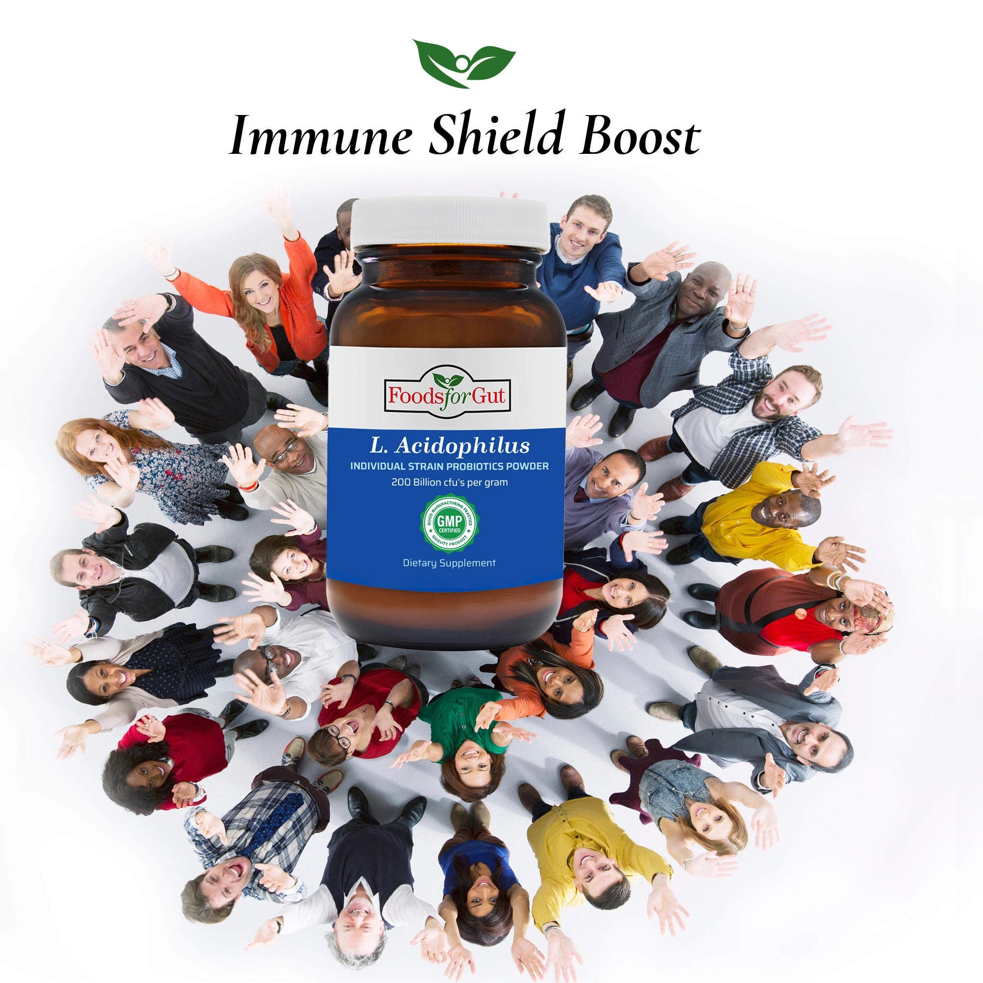 Lactobacillus Acidophilus Probiotic Powder